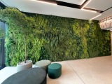 Umělá zelená stěna oživí interiér i exteriér, navíc bez zalévání a údržby