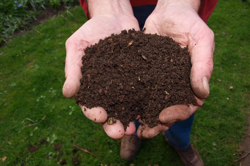 Jak správně založit kompost?