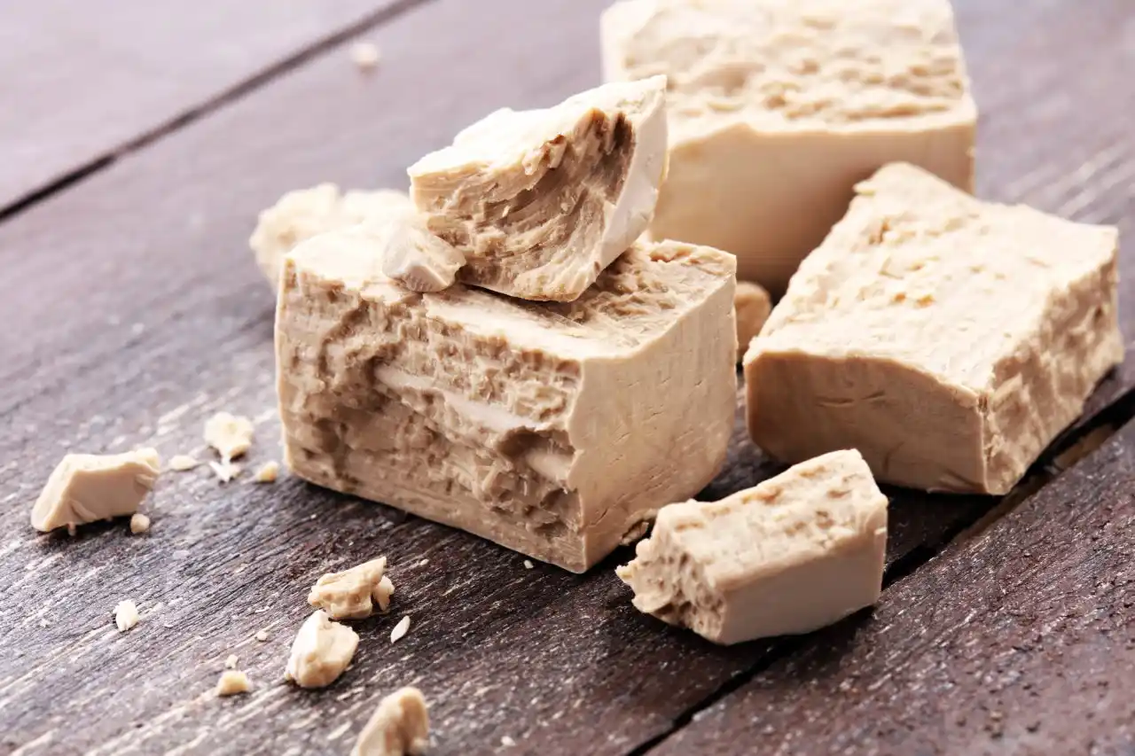 Domácí hnojivo z droždí - čerstvé pekařské droždí