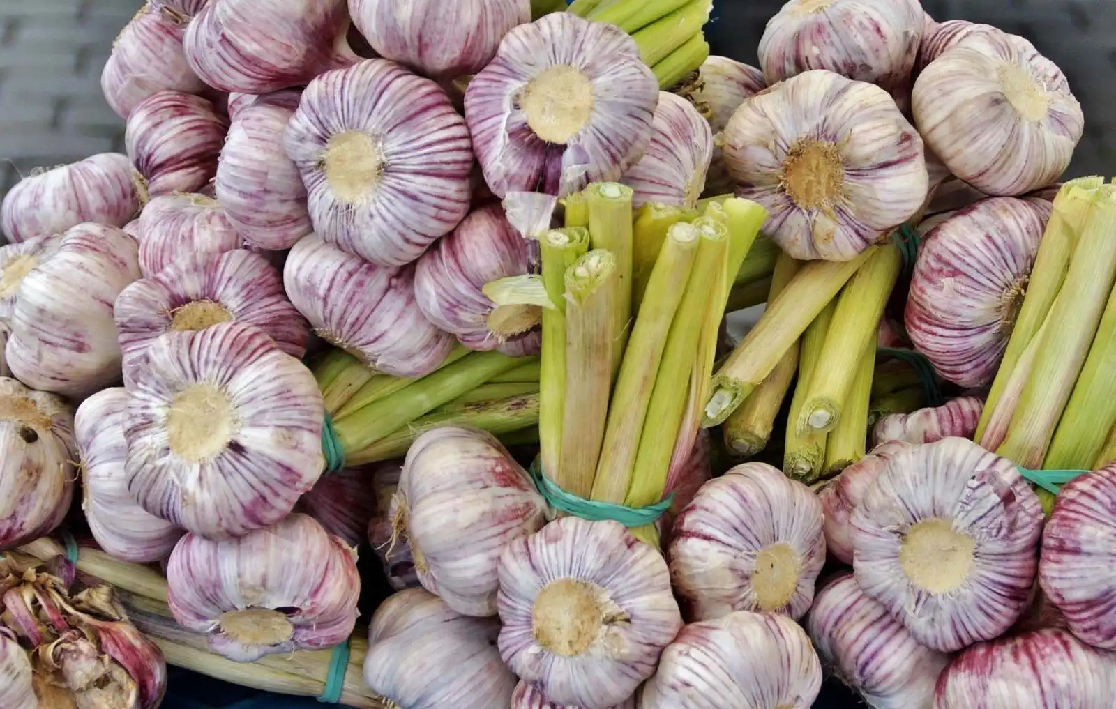 Správně sklizený česnek má pevné, dobře vyvinuté cibule s neporušenými obalovými suknicemi. Právě jejich stav rozhoduje o tom, jak dlouho vydrží při skladování.