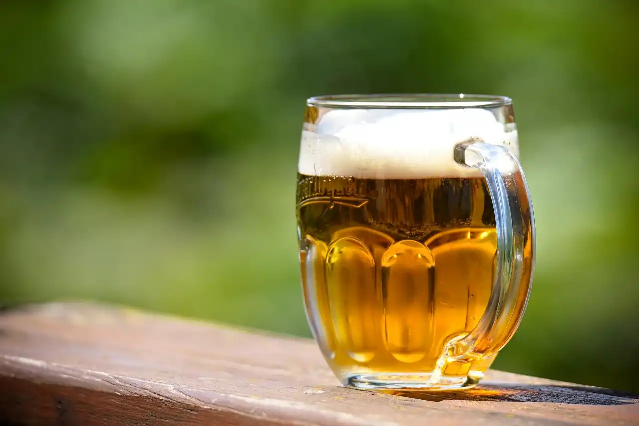 Proč pít pivo pravidelně