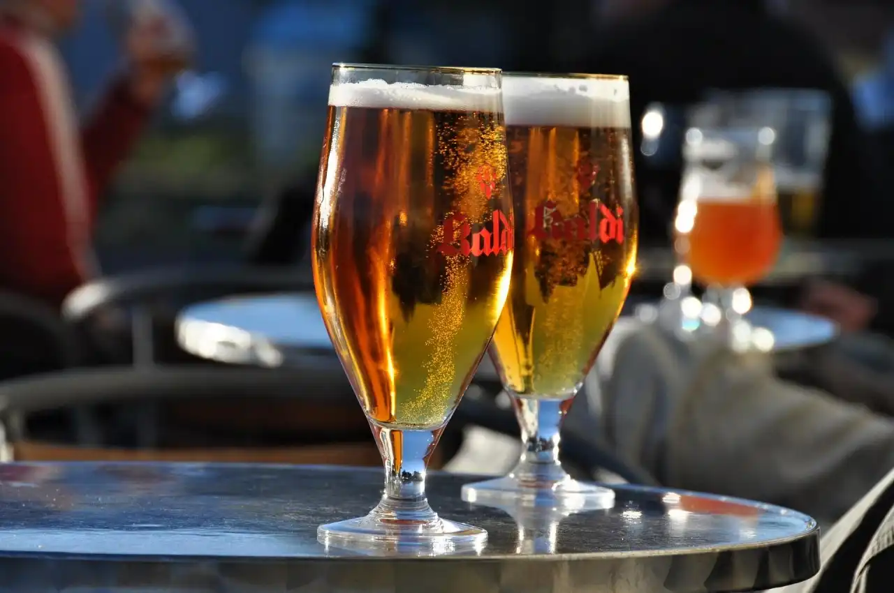 Proč pít pravidelně pivo