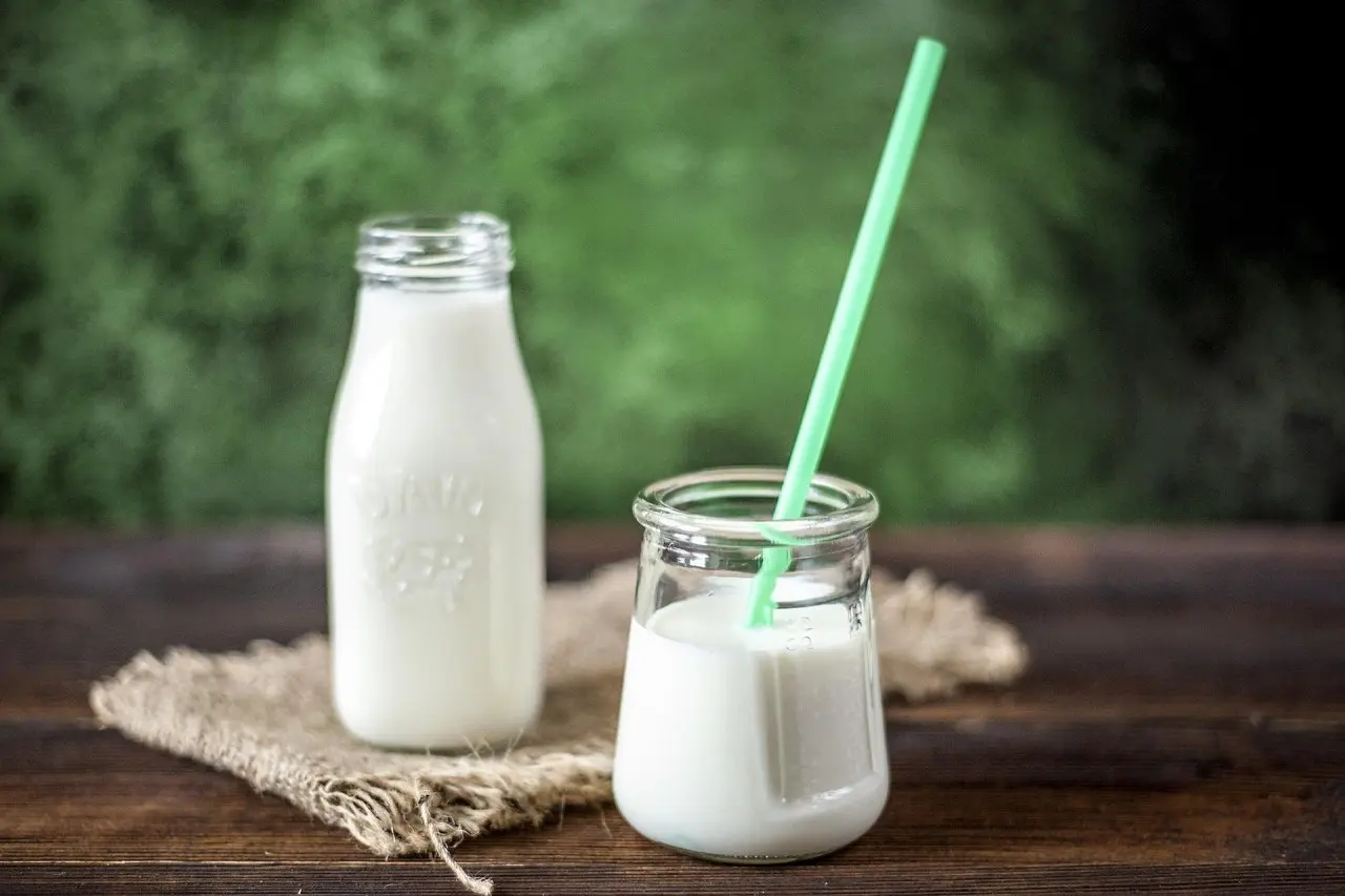 Ayran - recept na osvěžující jogurtový nápoj
