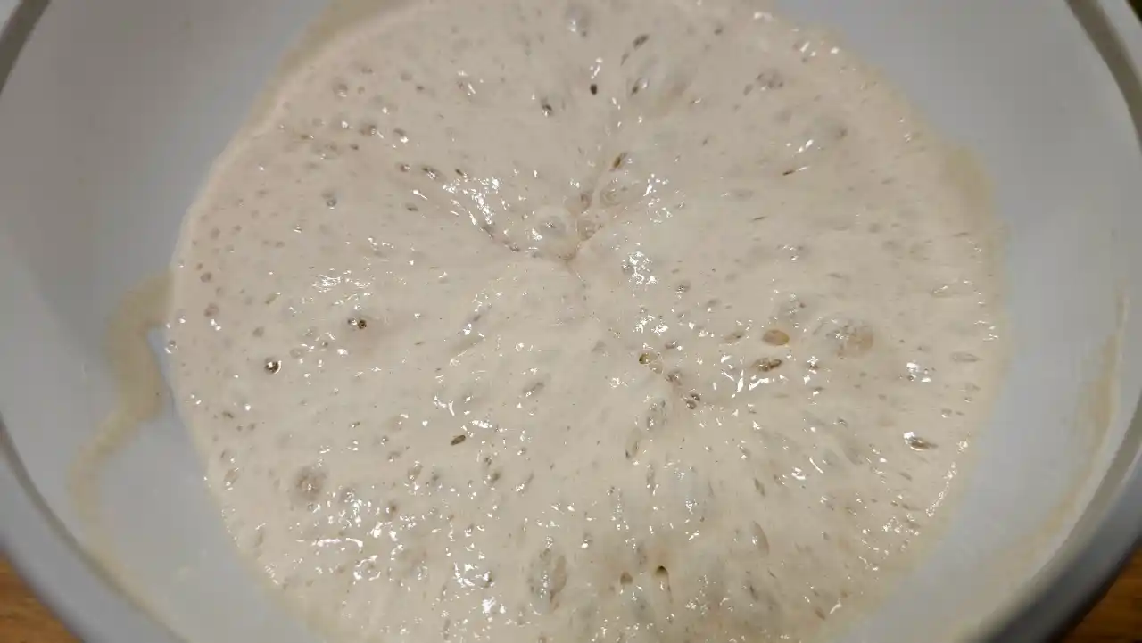 Cesta k dokonalé pizze začíná u těsta - takto vypadá poolish po 24 hodinách.