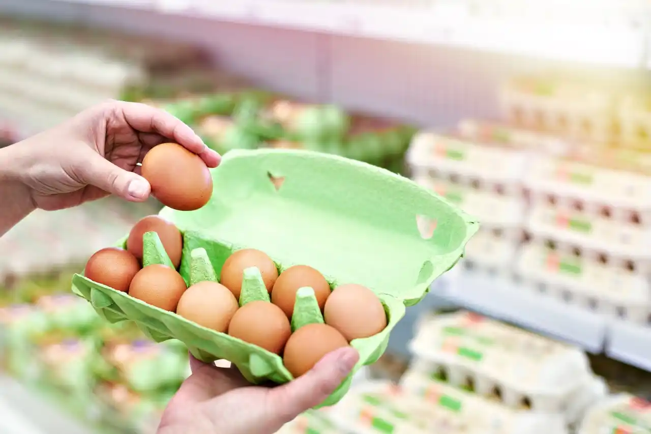 Při nákupu vajec se vyplatí sledovat značení a datum minimální trvanlivosti.
