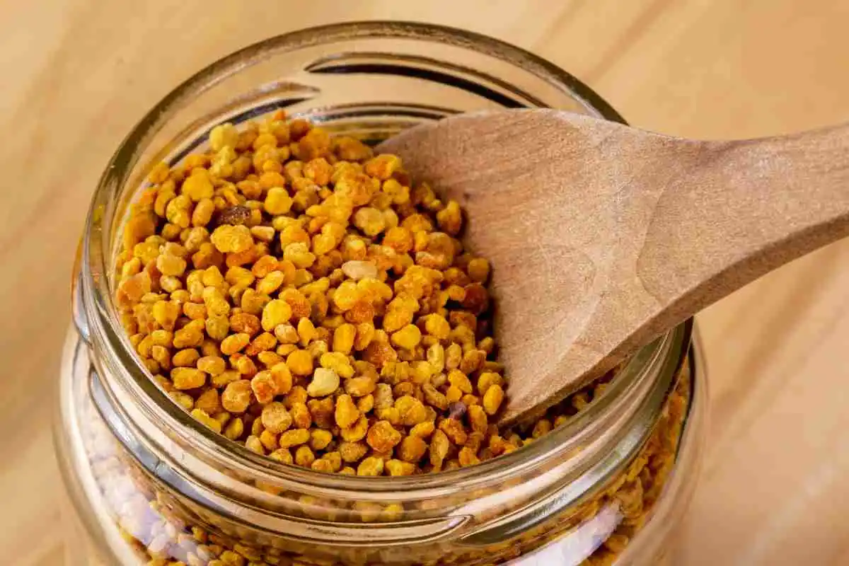 Včelí med pod lupou - včelí pyl