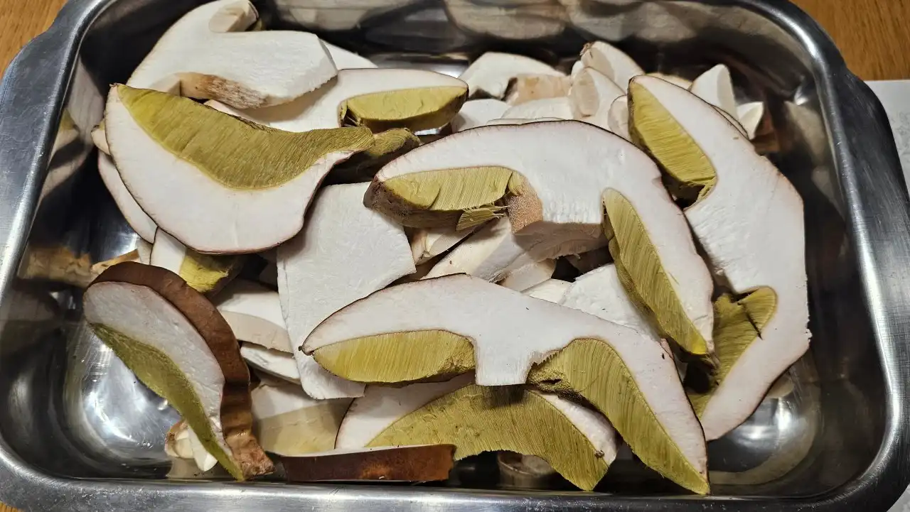 Obalované smažené houby