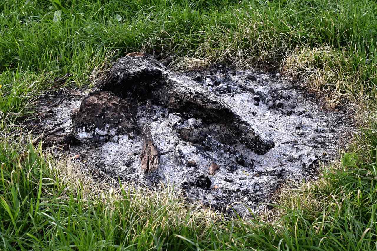 Domácí přírodní hnojiva - dřevěný popel