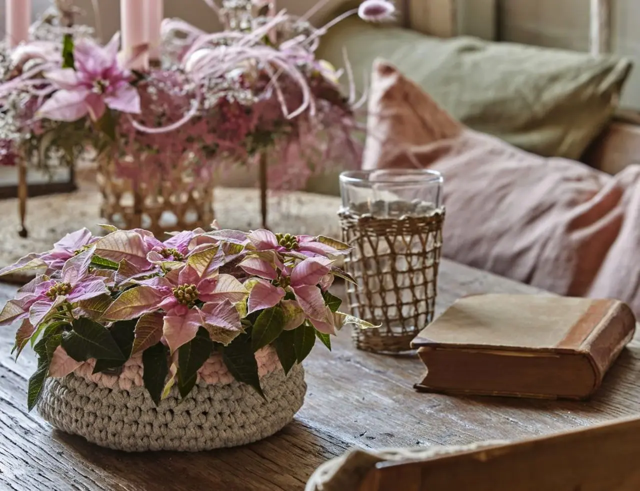 Adventní dekorace s poinsettií