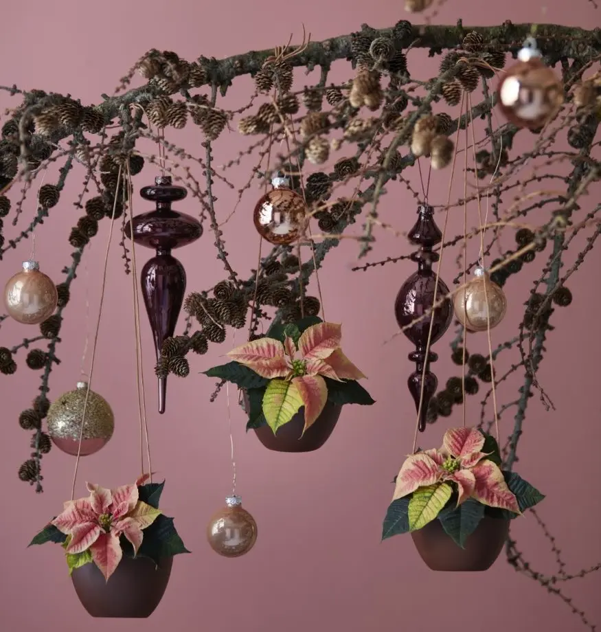 Adventní dekorace s poinsettií