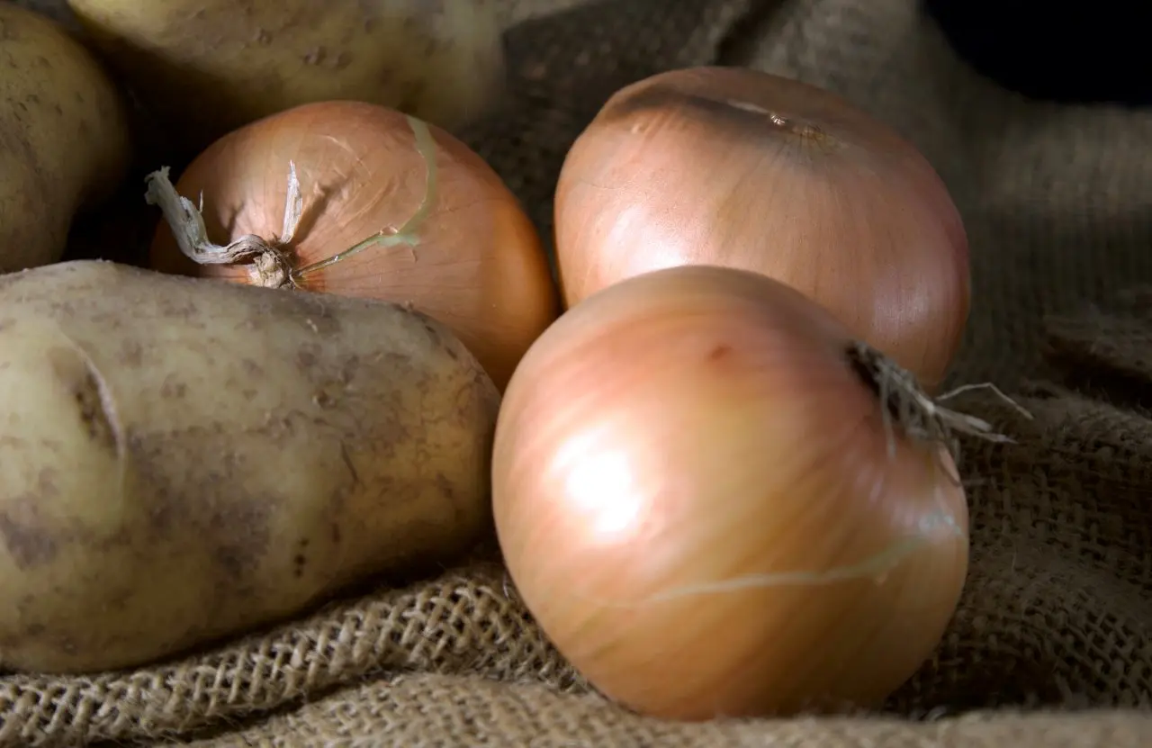 Brambory a cibule