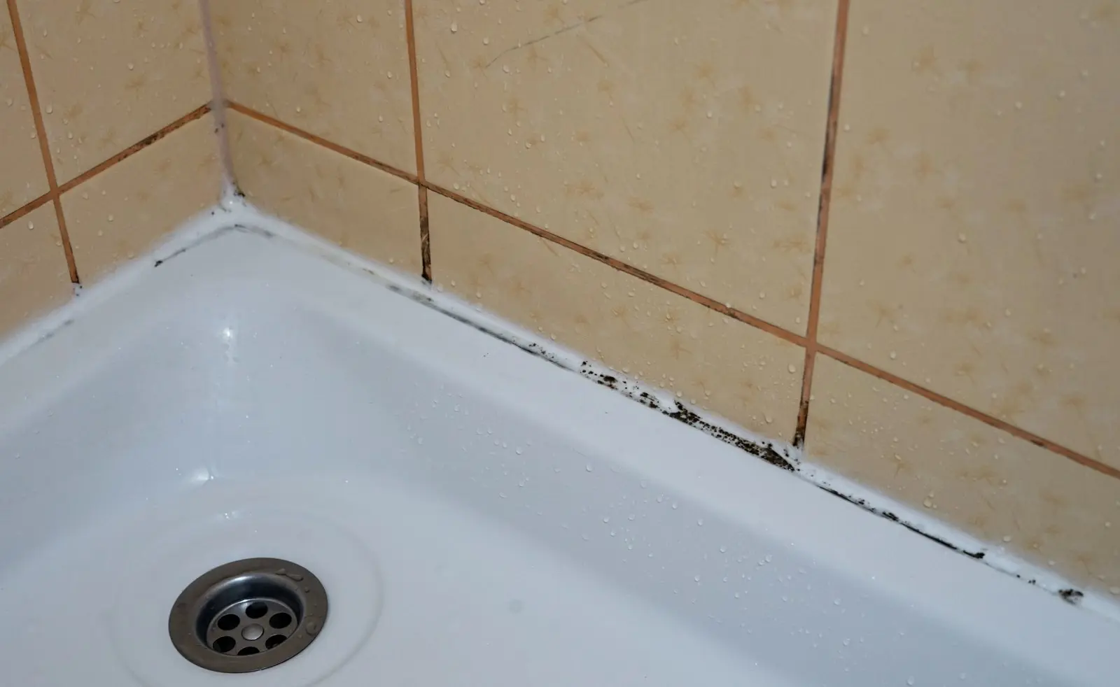 Plíseň a špína ve spárách v koupelně ve sprchovém koutu