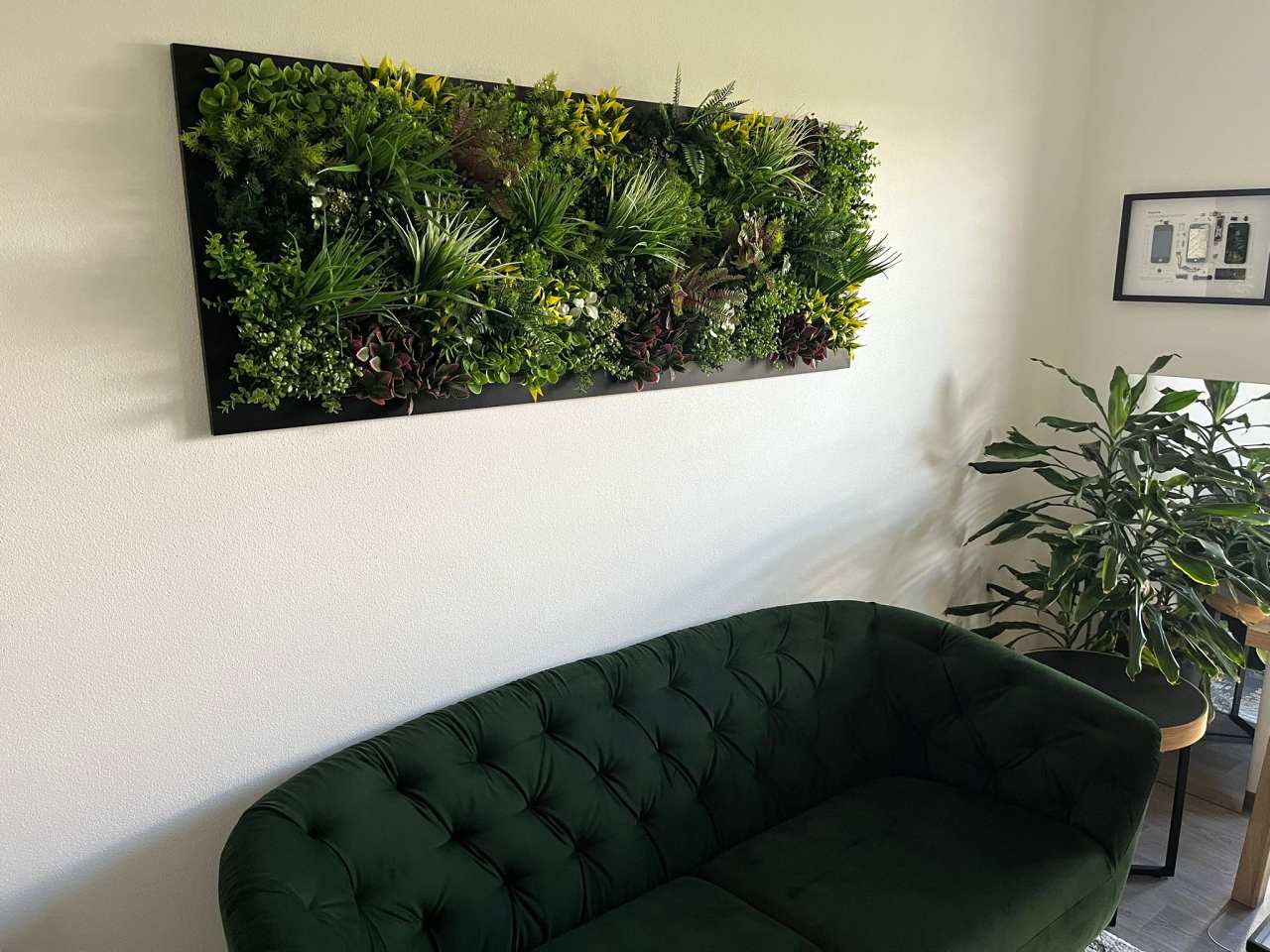 Zelené stěny Florum