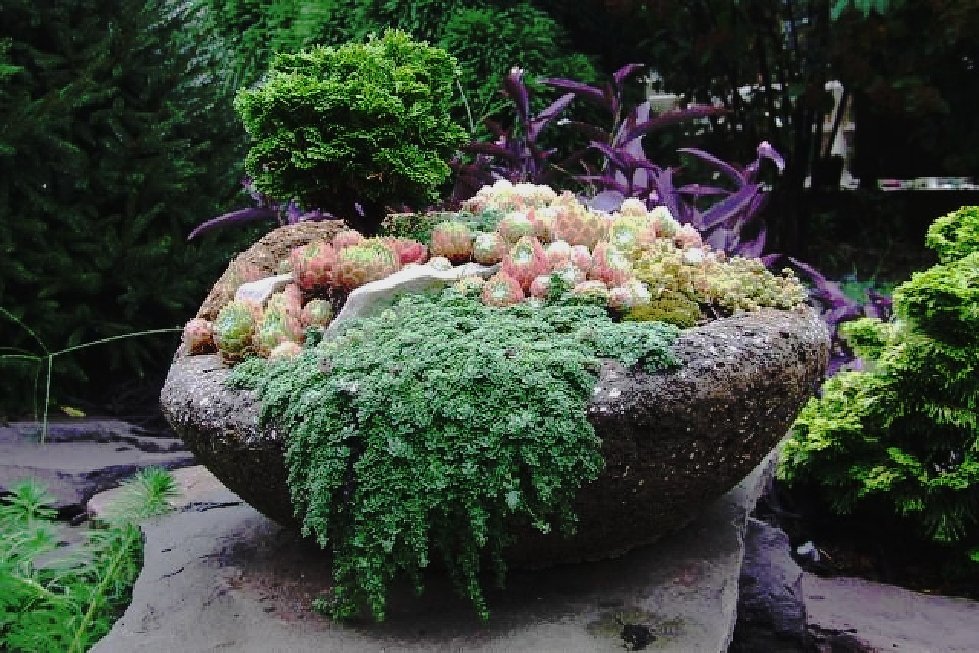 Hypertufa
