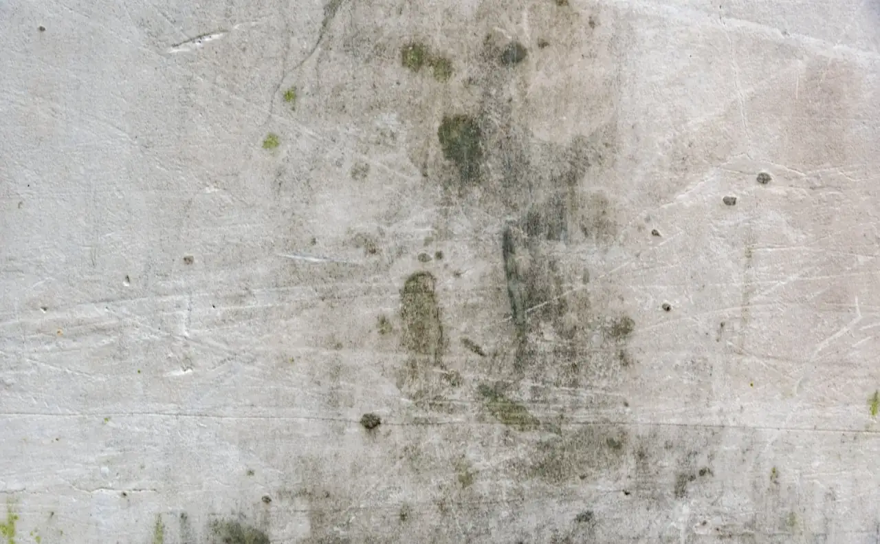 Jak se zbavit vlhkosti