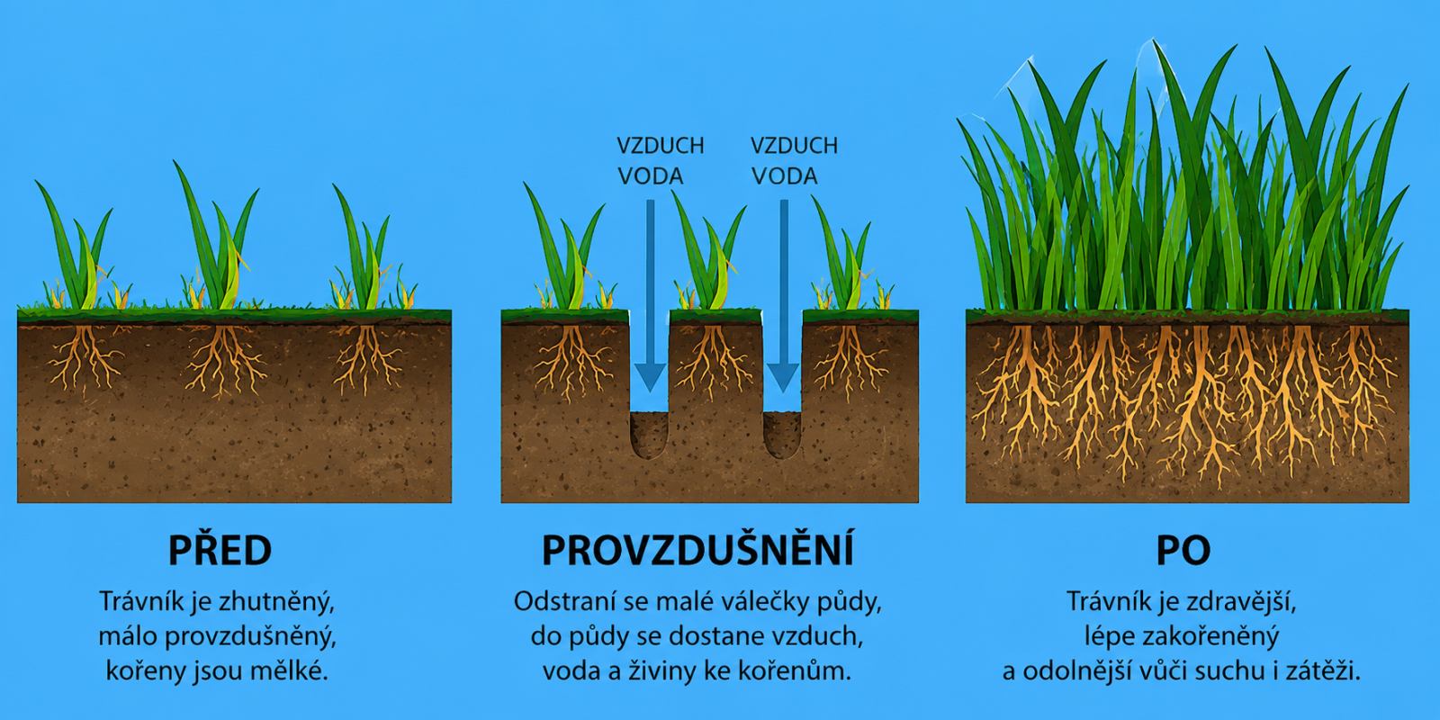 Suchý trávník po horkém létě