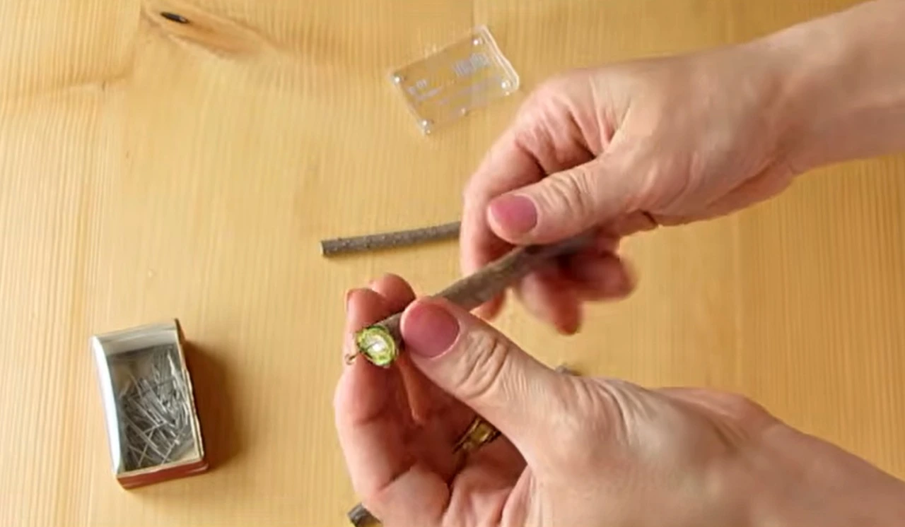 Barvení velikonočních vajíček