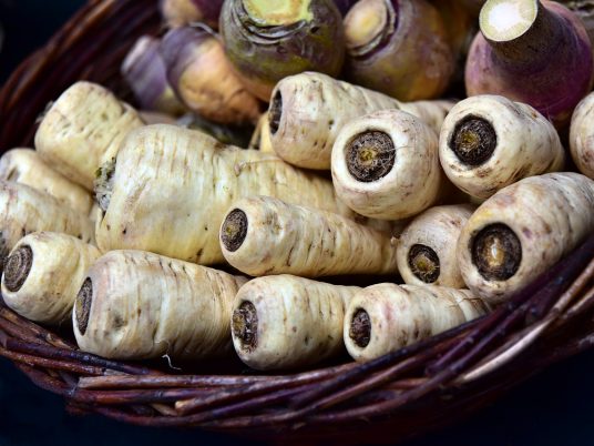 Jak pěstovat pastiňák: Krok za krokem k bohaté úrodě