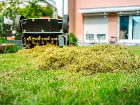 Děláte to správně? Vertikutace může trávník zachránit - i zničit.