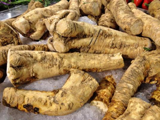 Pěstování křenu krok za krokem: Od výsadby po sklizeň
