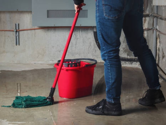 Údržba sklepů jako prevence proti plísním a správné skladování potravin