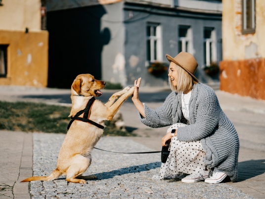 Psí výkaly v zahradě – jak se jich správně zbavit?
