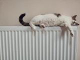 Jak ušetřit za vytápění a nepřijít o tepelný komfort? Seznamte se s chytrými termostaty  