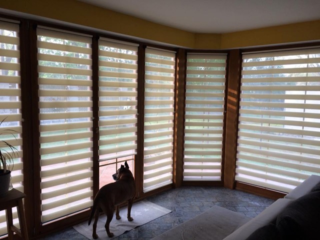 Zebra-shop.cz - látkové okenní rolety