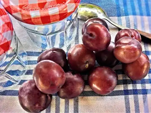 Švestkový džem s cuketou