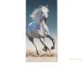 Dětská osuška s obrázkem Kůň 03 70x140
